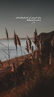 امیر تتلو نصف شب میشینم اینجا تنها بی تو